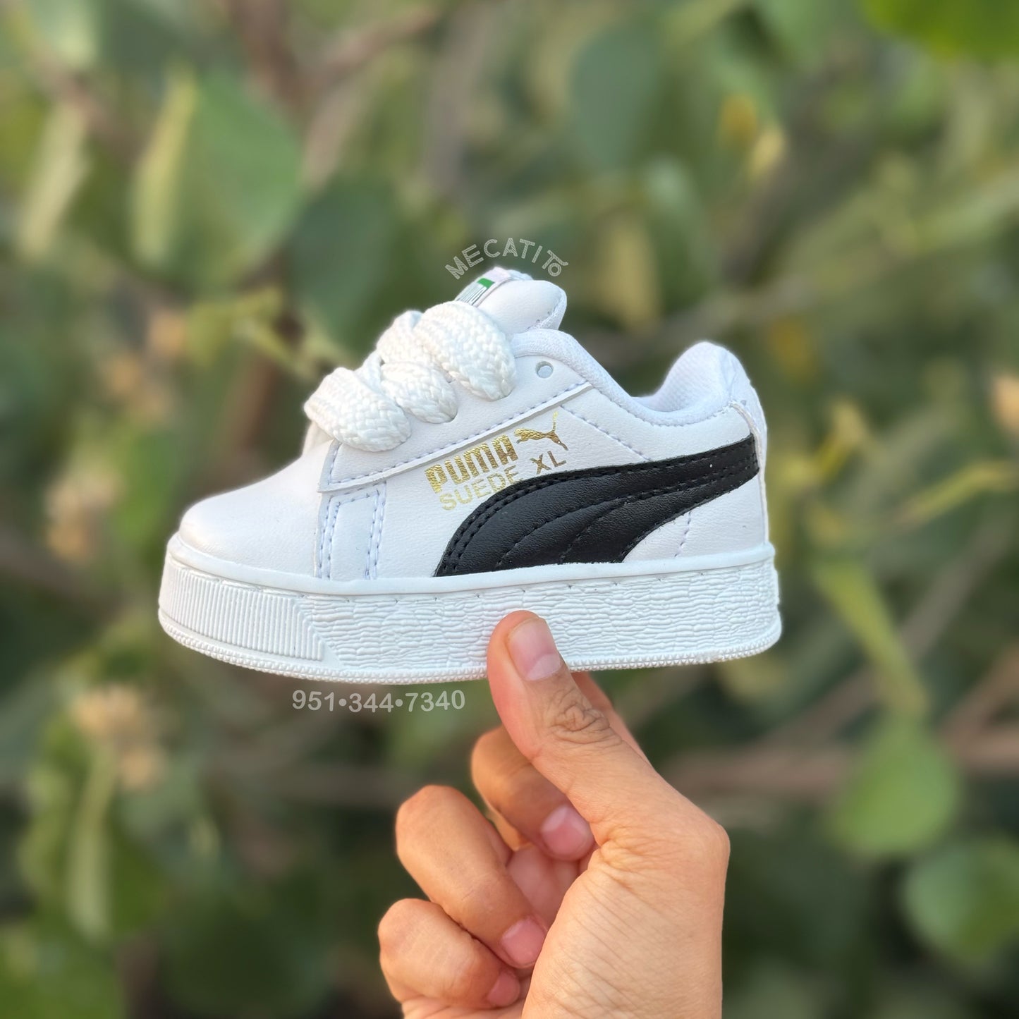 Premium BD296•MV489