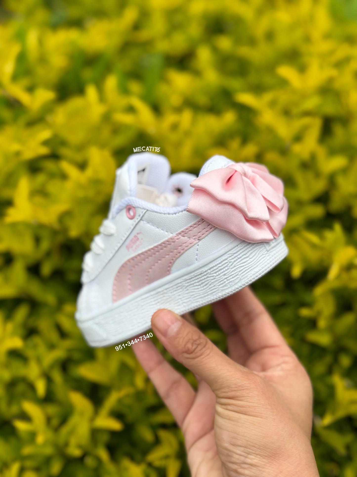 Premium BD306•MV279