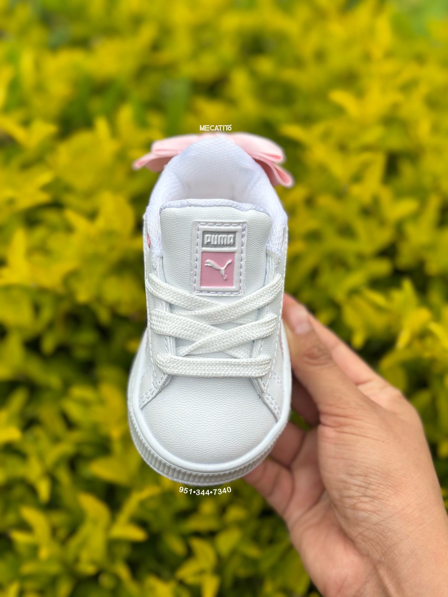 Premium BD306•MV279