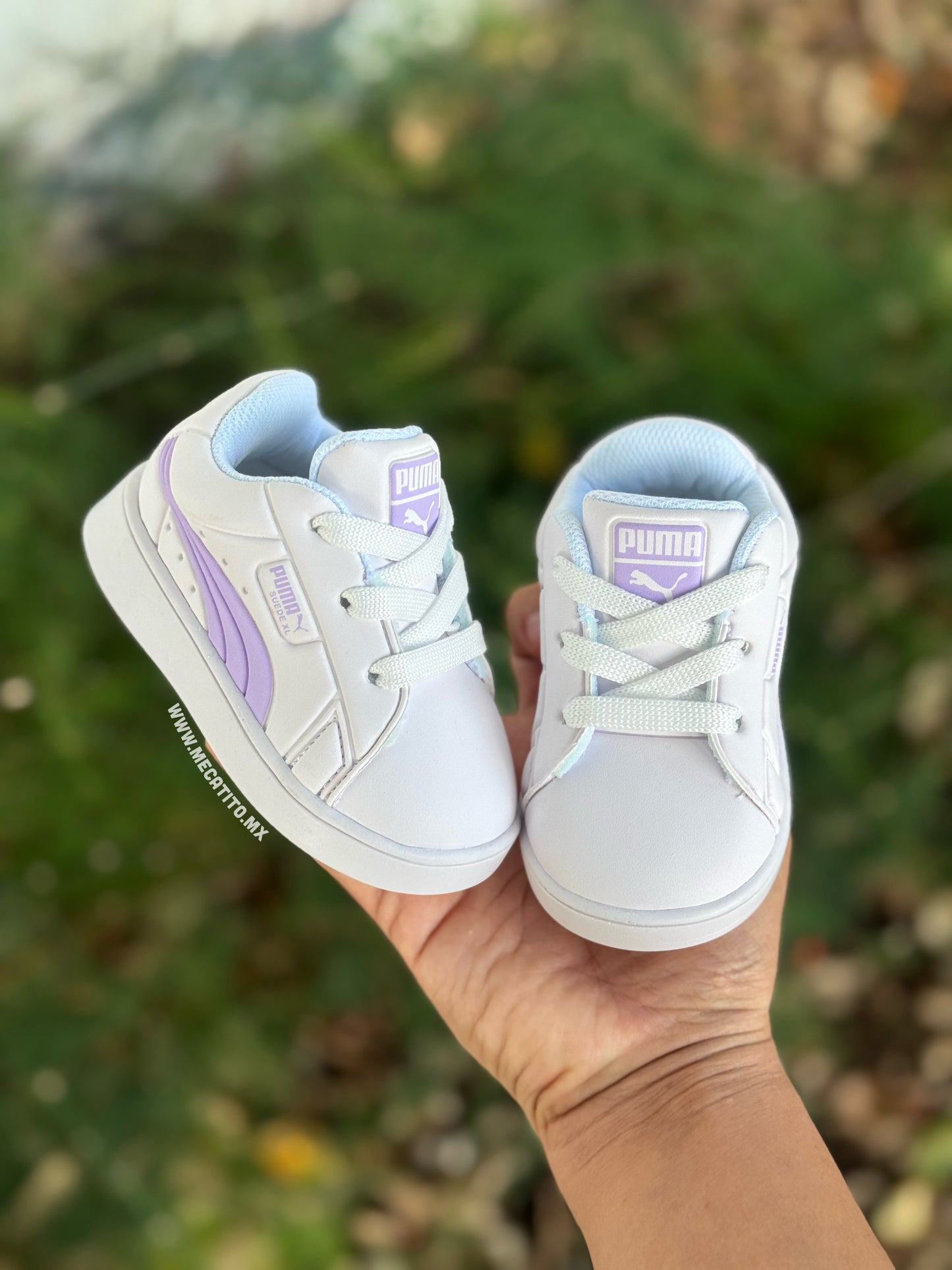 Flexible BD429•MV631