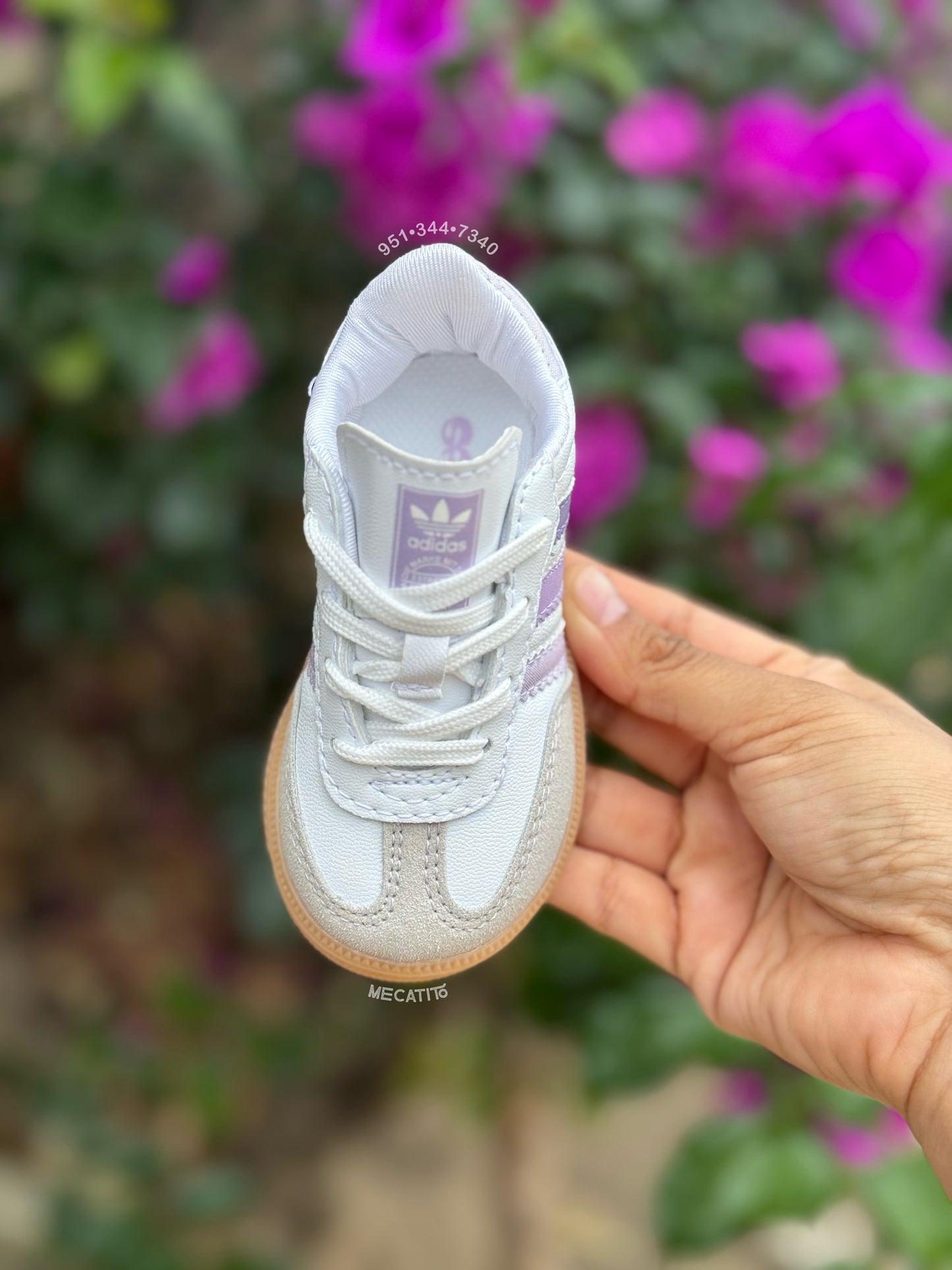 Premium BD465•MV623