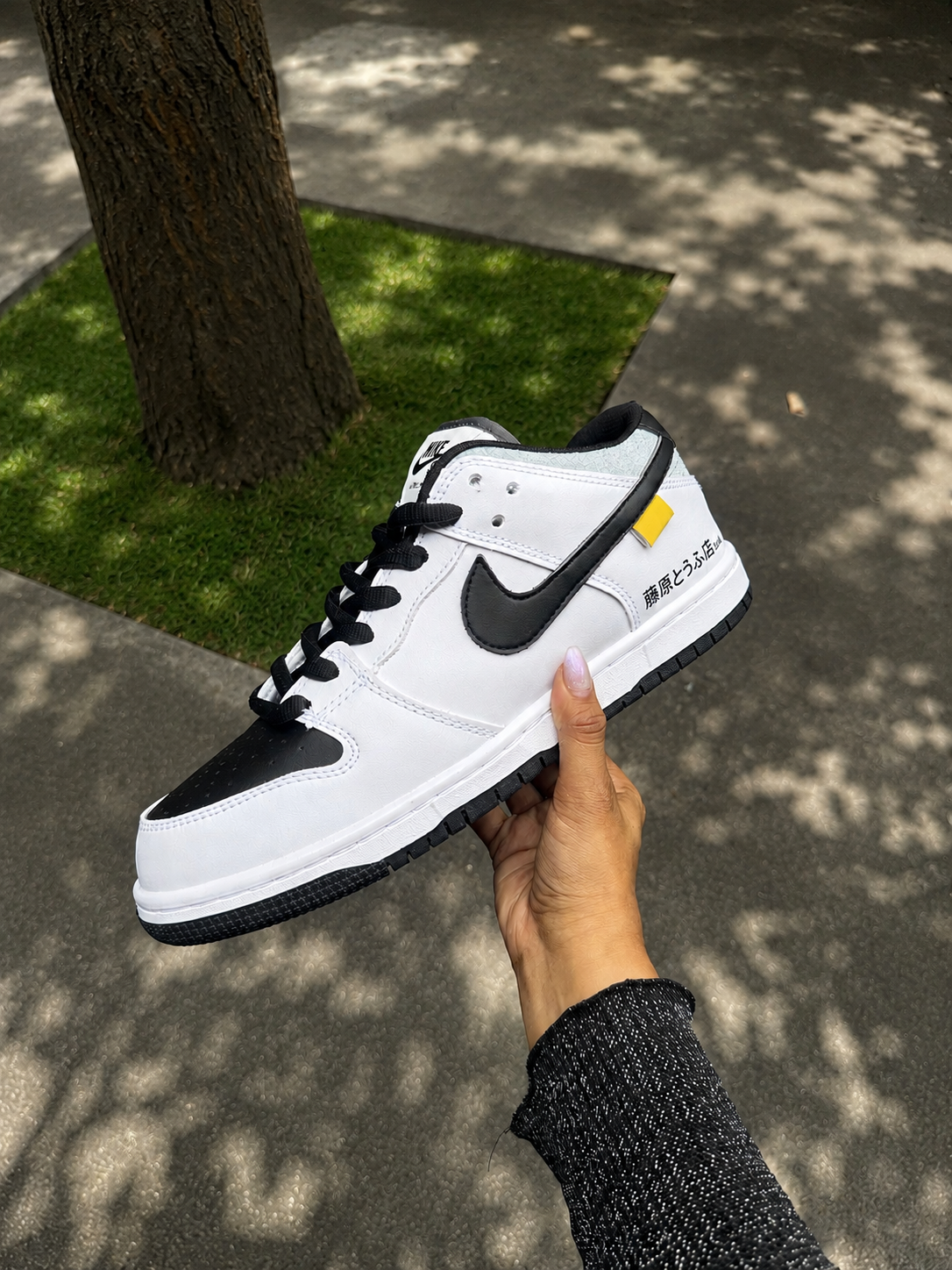 Dunk H962