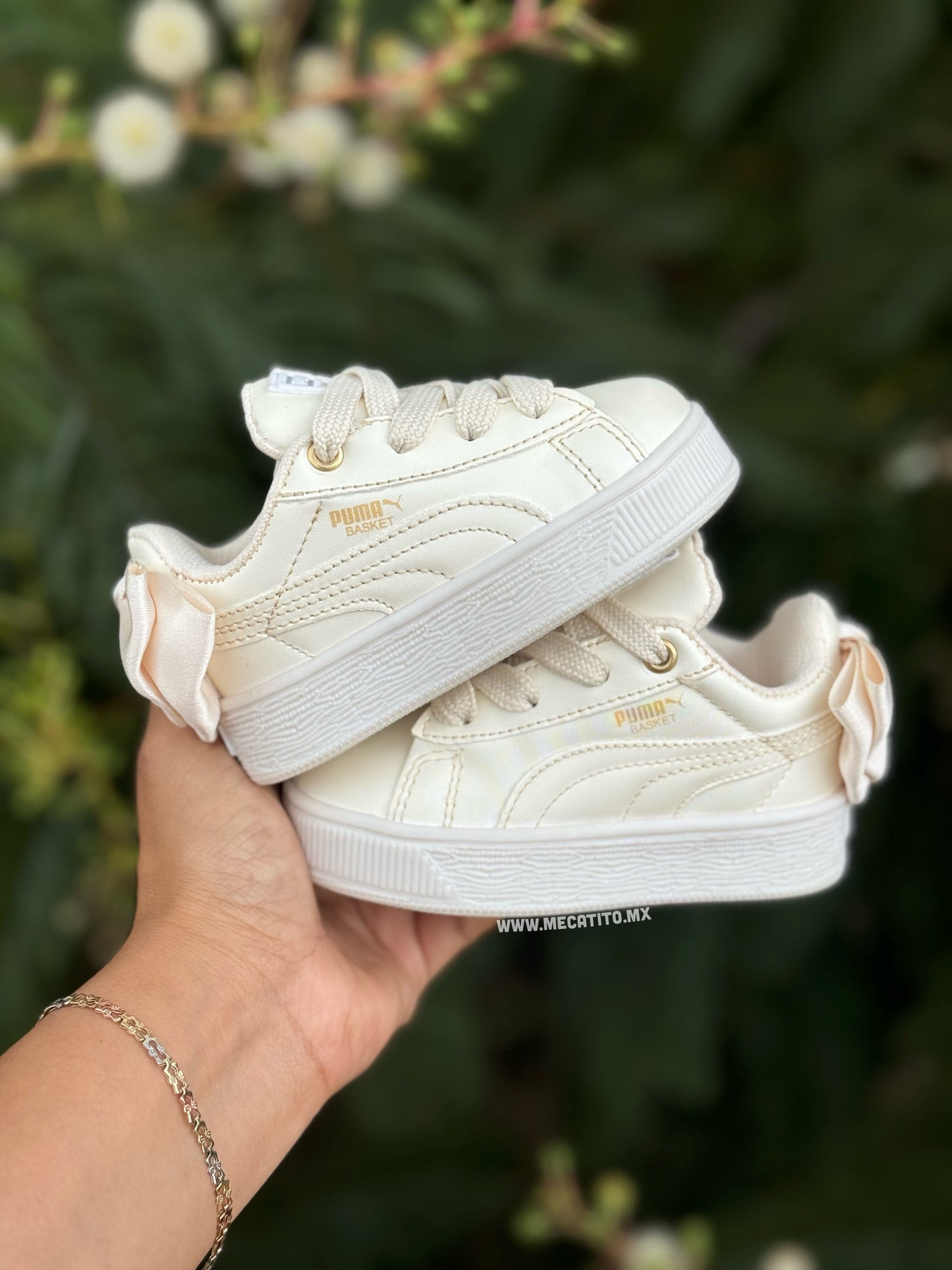 Premium BD443•MV644