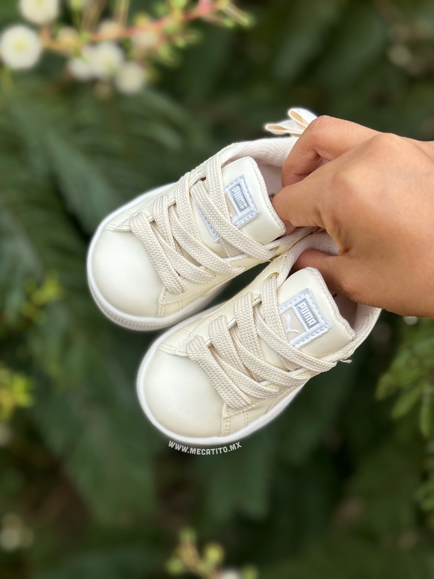 Premium BD443•MV644