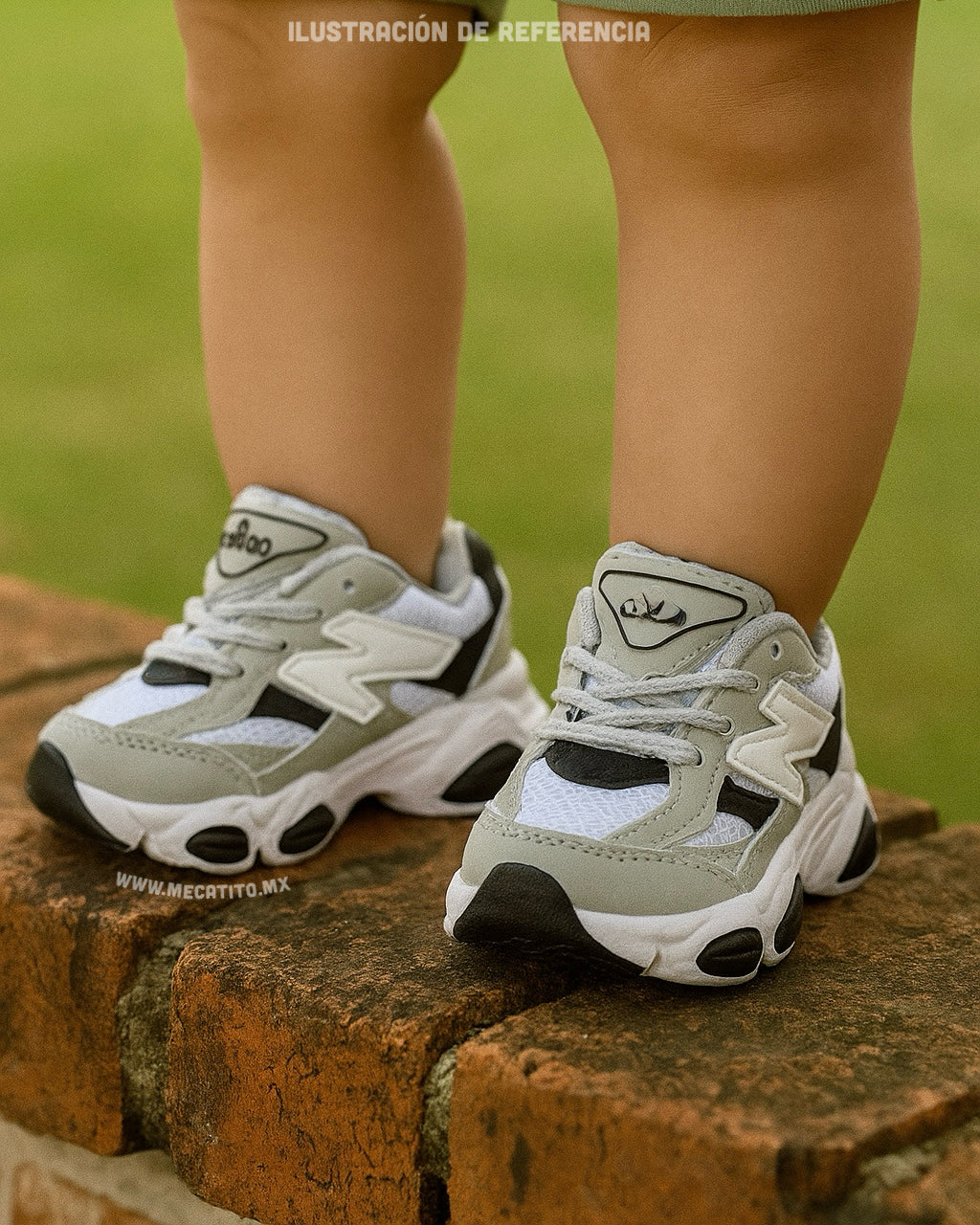 Premium BD428•MV638