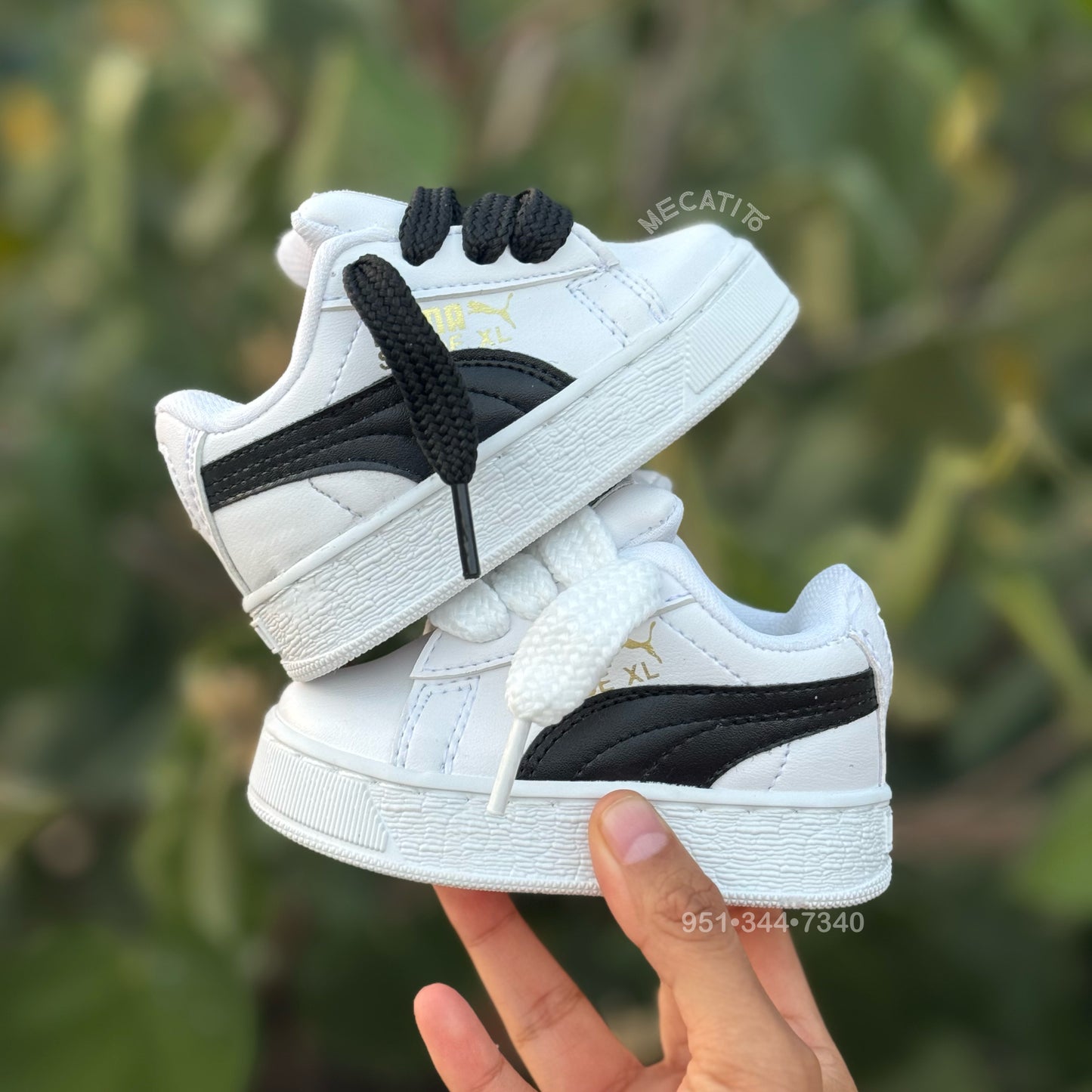 Premium BD296•MV489