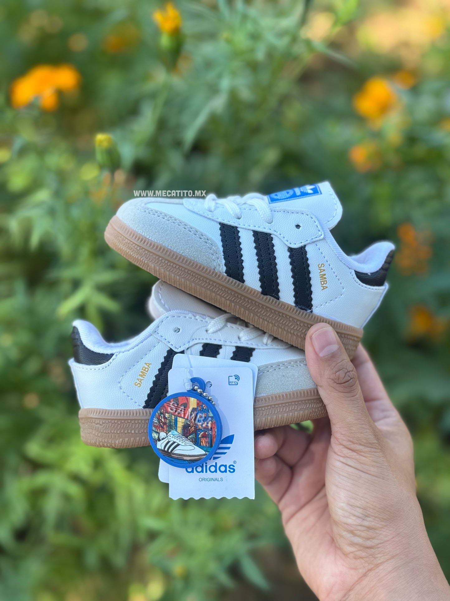 Premium BD412•MV663