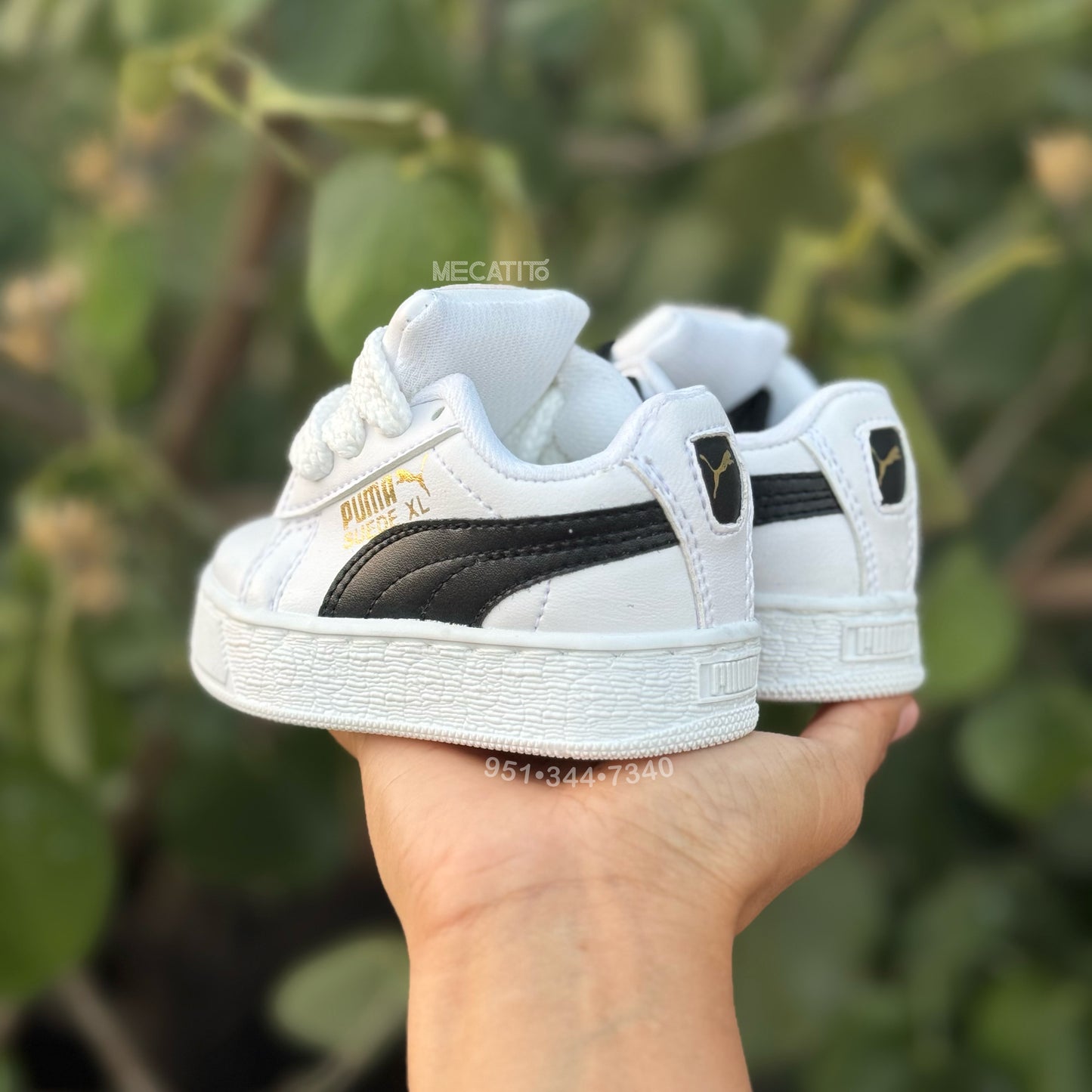 Premium BD296•MV489