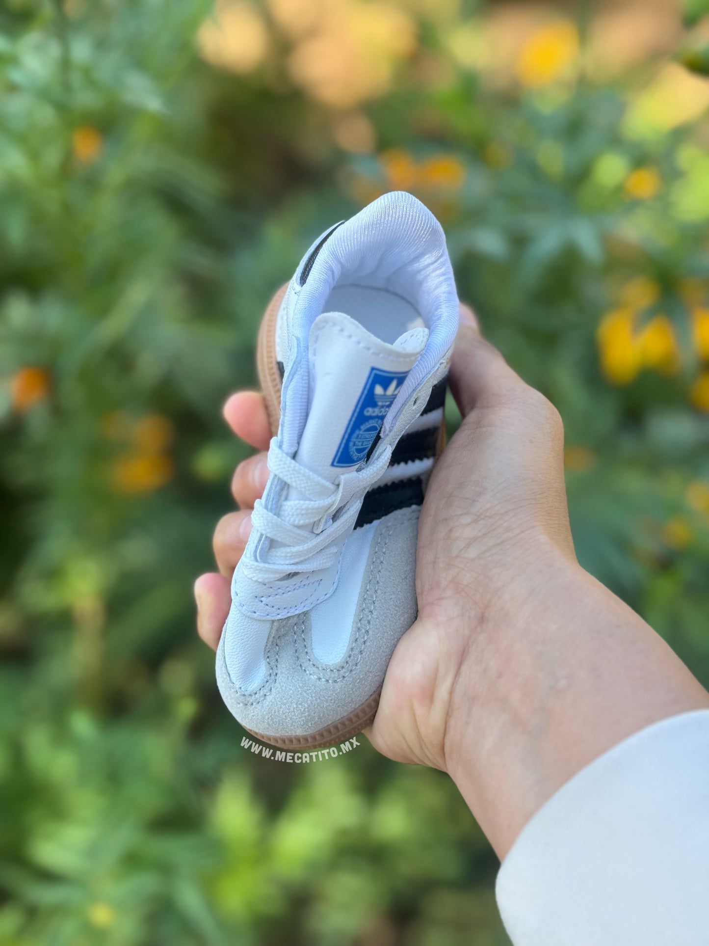 Premium BD412•MV663