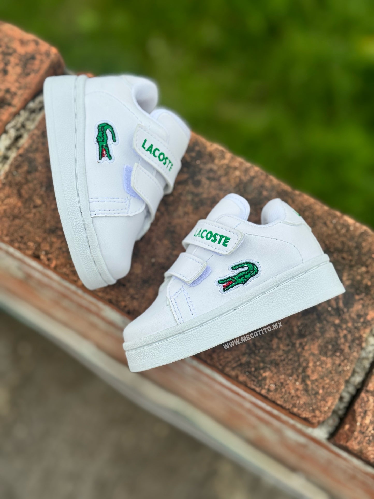 Premium BD439•MV642