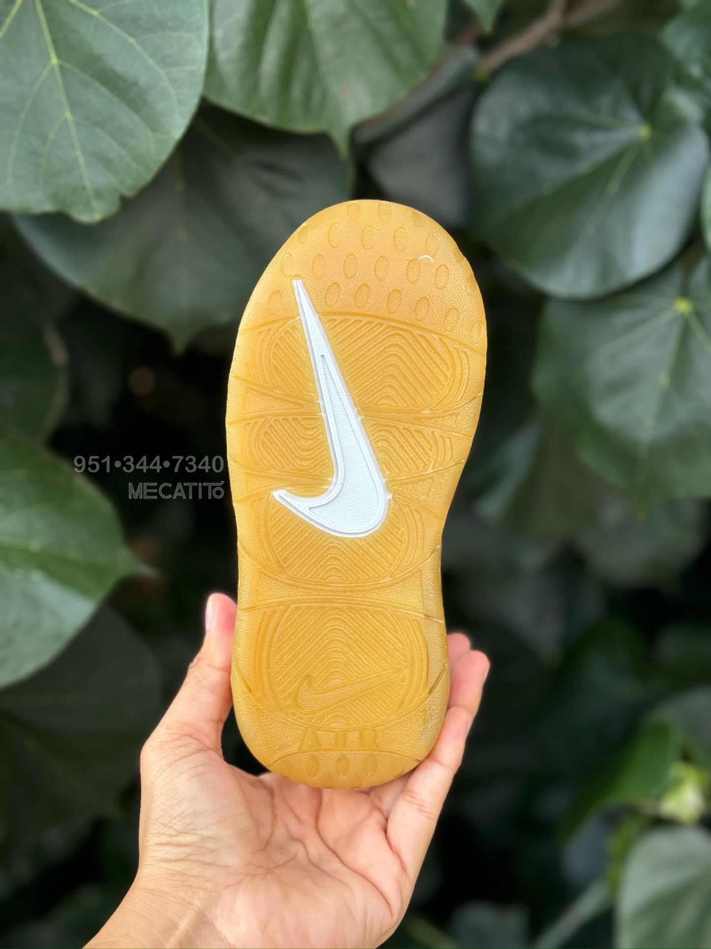 Premium 🏀 BD115