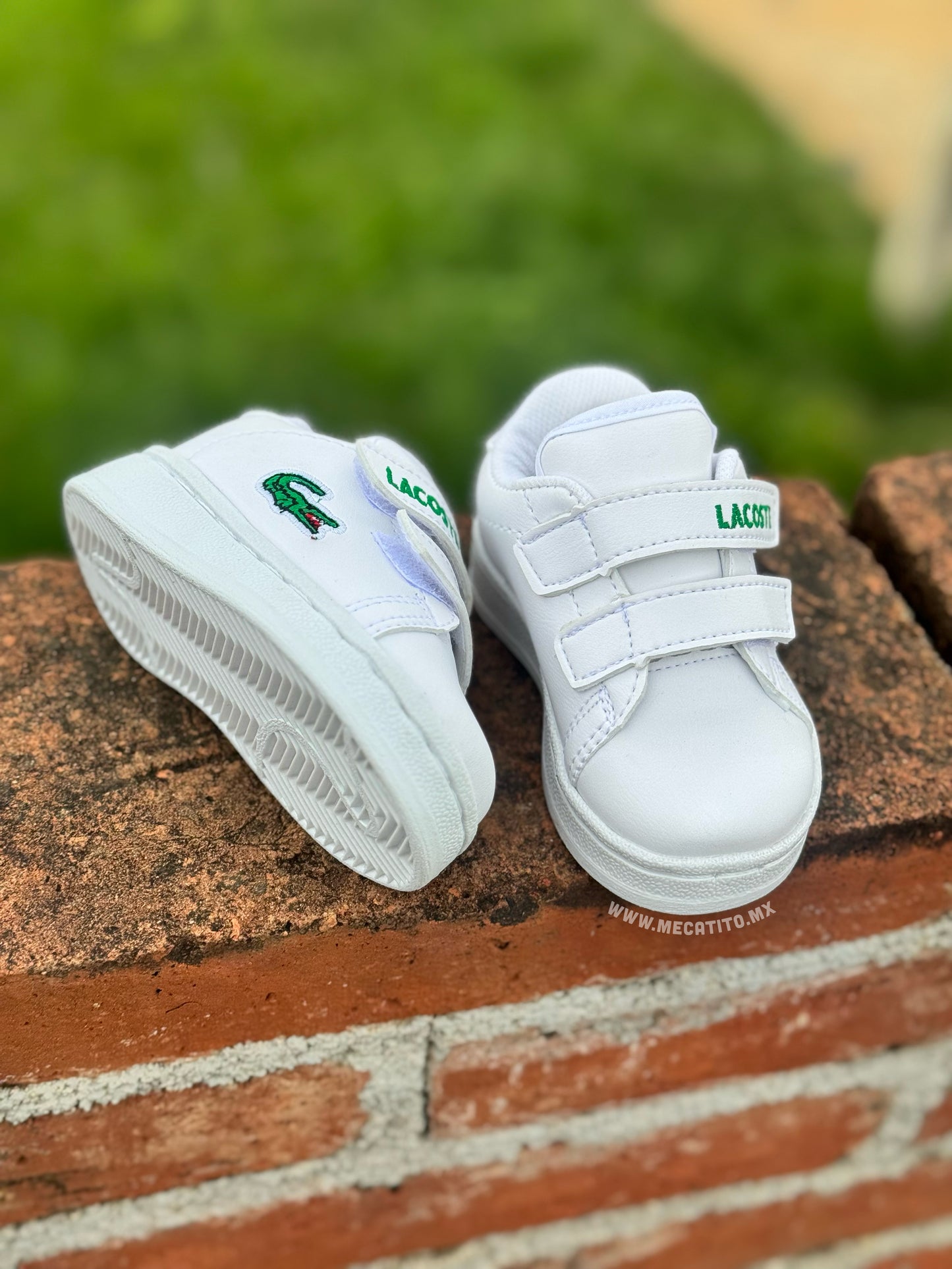 Premium BD439•MV642