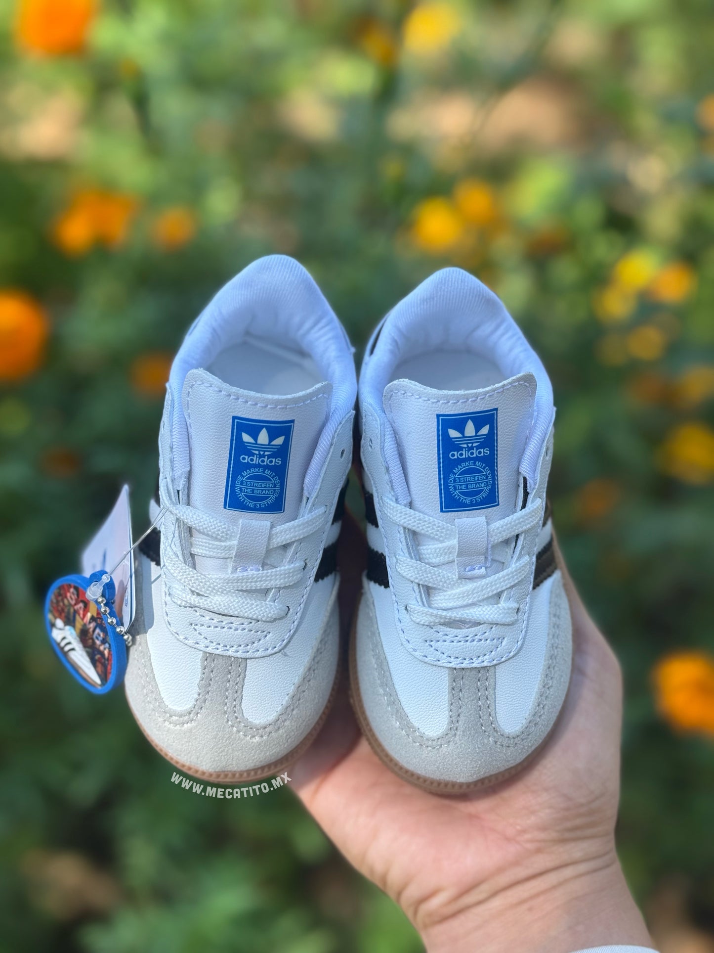 Premium BD412•MV663