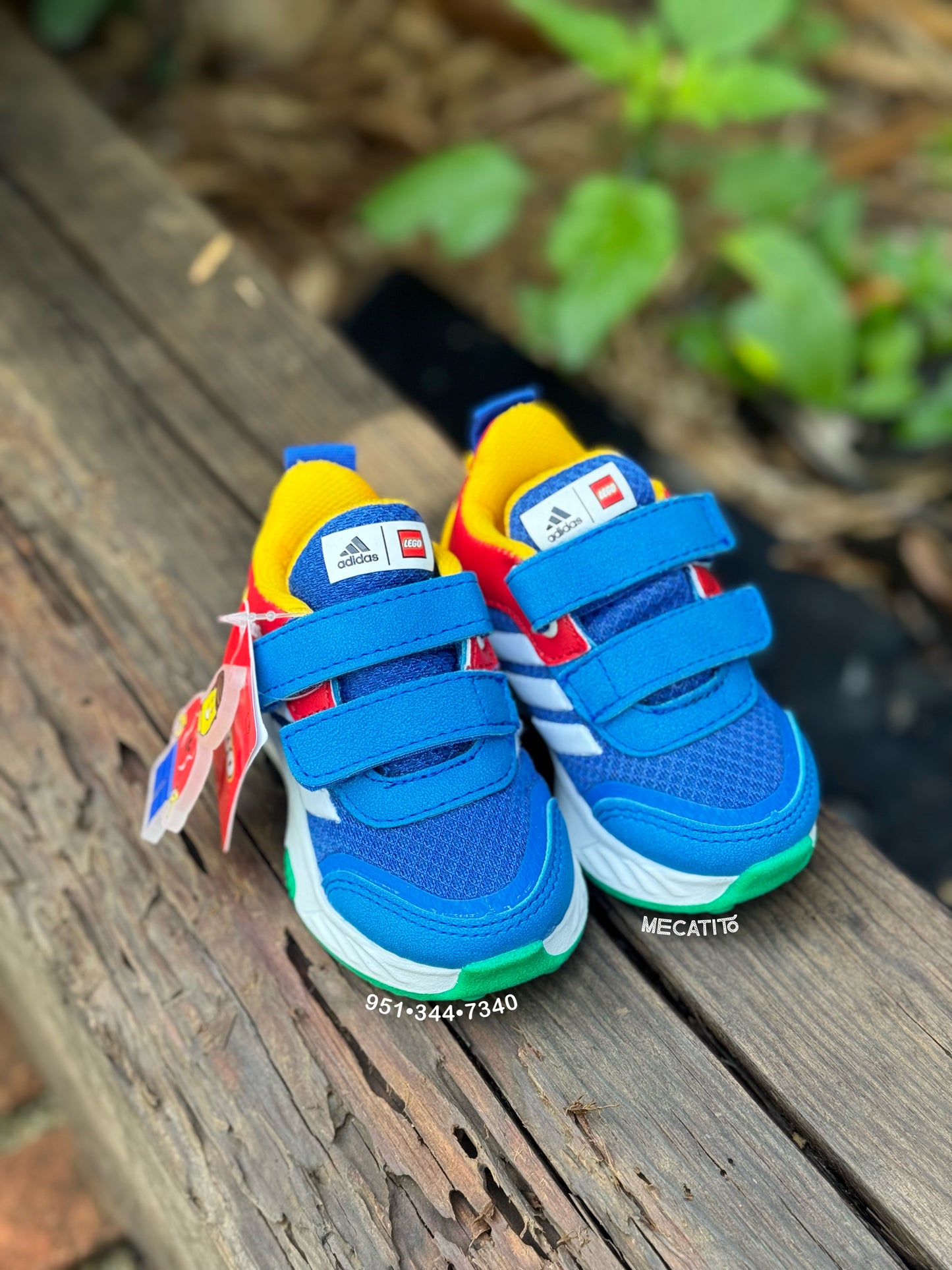 Premium BD448•MV569