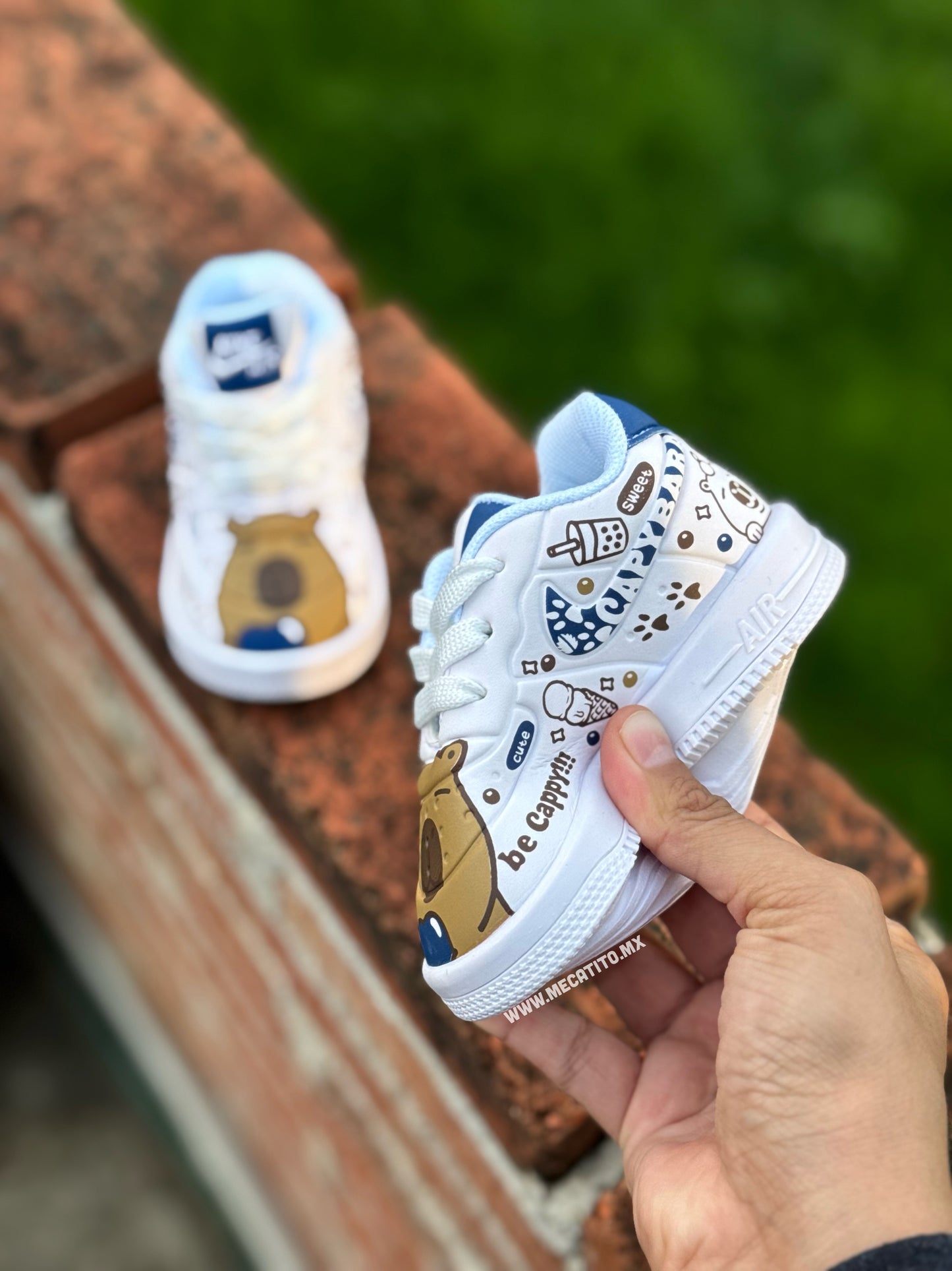 Flexible BD433•MV626