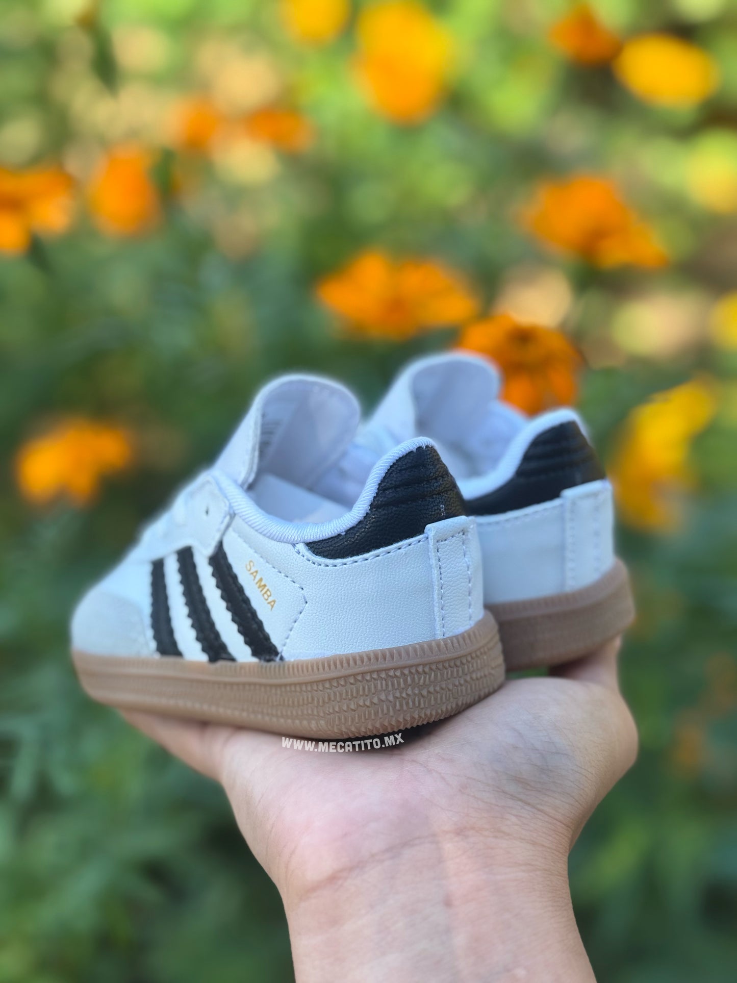 Premium BD412•MV663