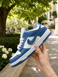Dunk H918