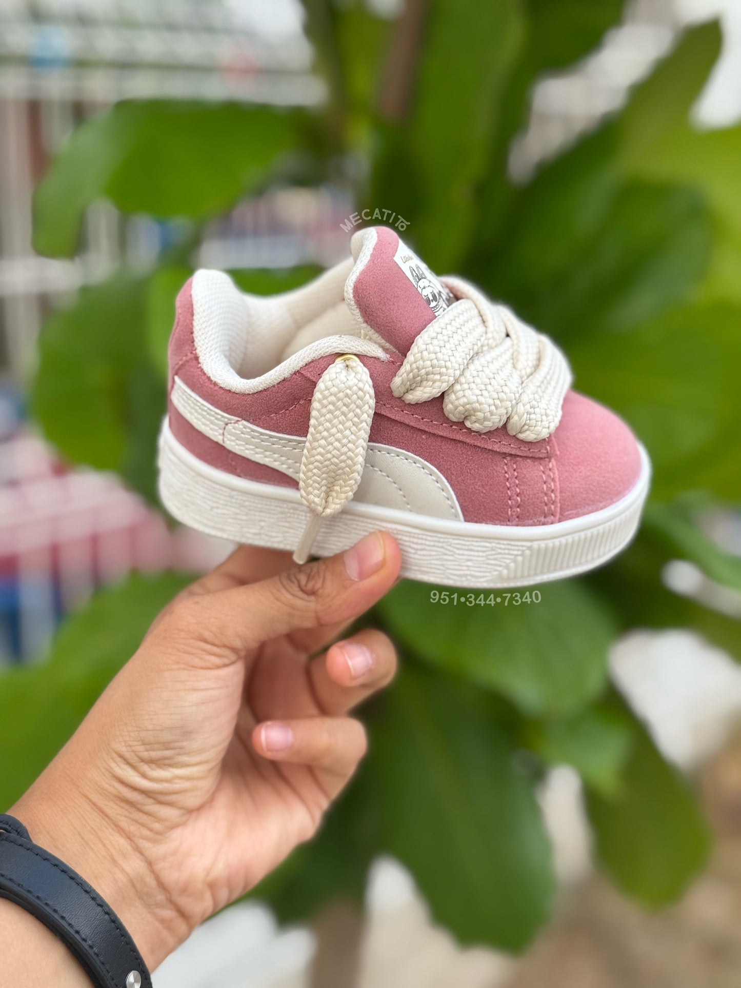 Premium 🍬 BD313•MV522