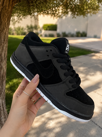 Dunk H956