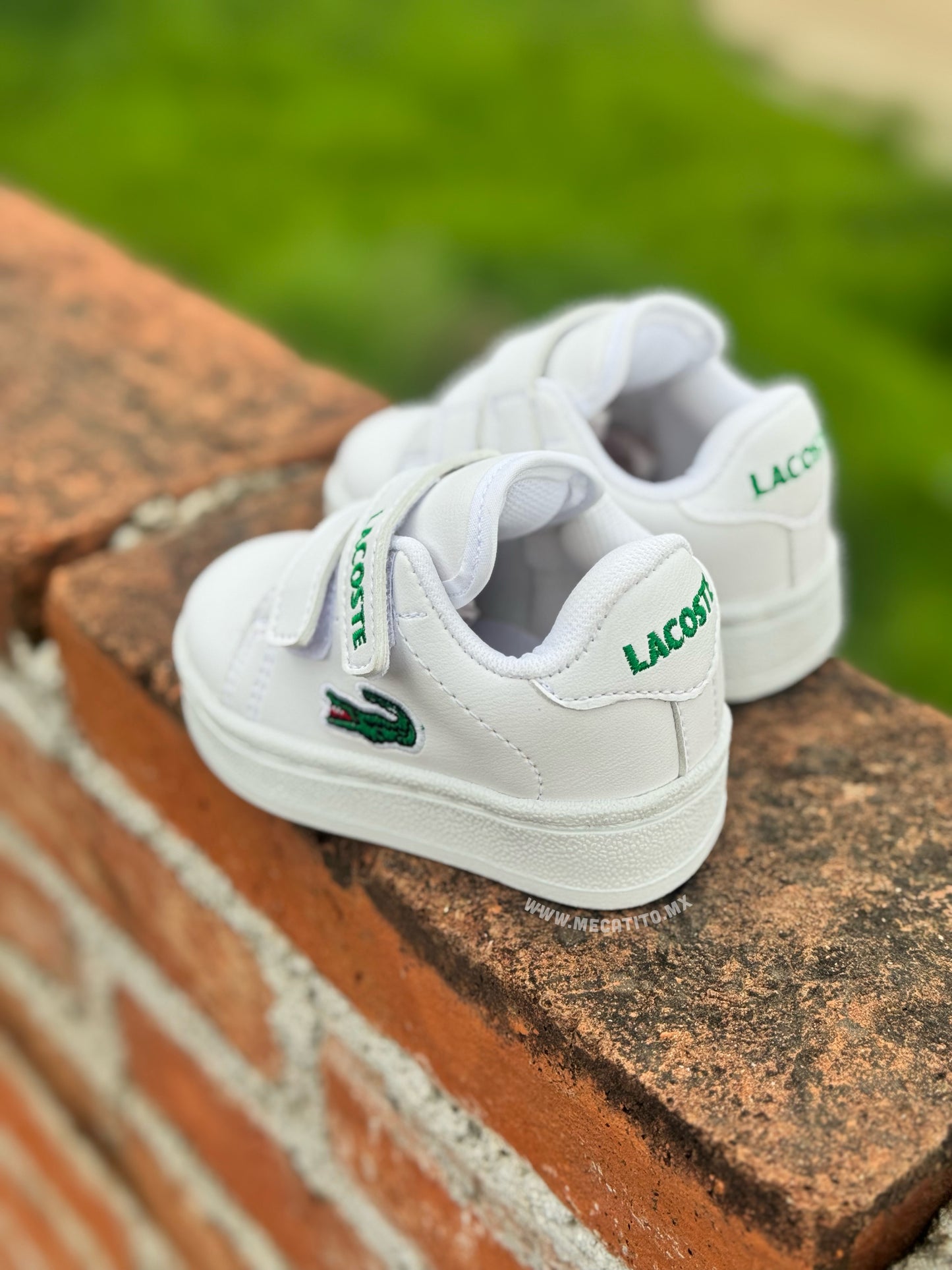 Premium BD439•MV642