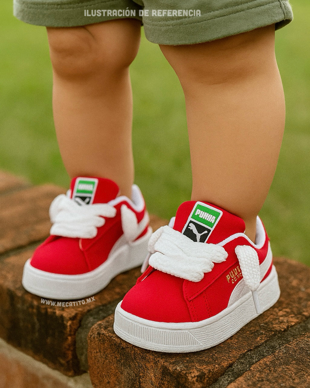 Premium BD423•MV633