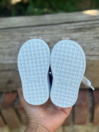 Premium BD384•MV577